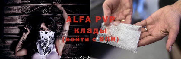 первитин Богданович
