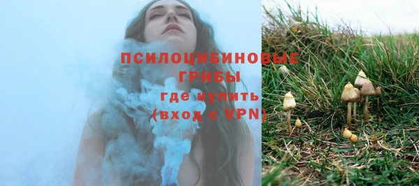 спайс Богородск