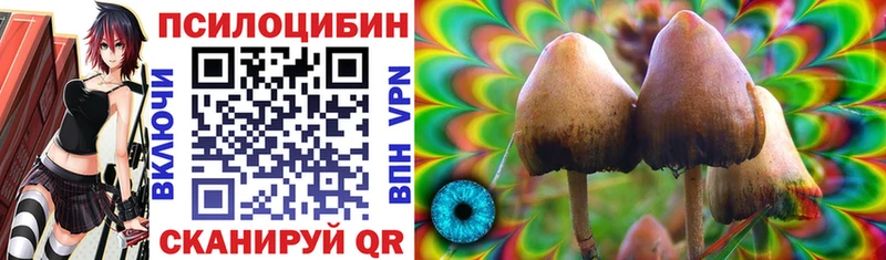 Псилоцибиновые грибы GOLDEN TEACHER  Мураши 